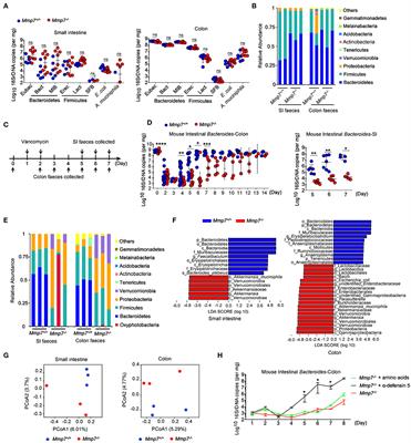 α-Defensins Promote Bacteroides Colonization on Mucosal Reservoir to Prevent Antibiotic-Induced Dysbiosis